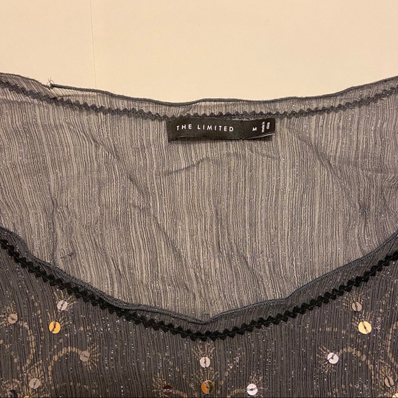 The Limited Silk Sequin Top - Picture 2 of 3